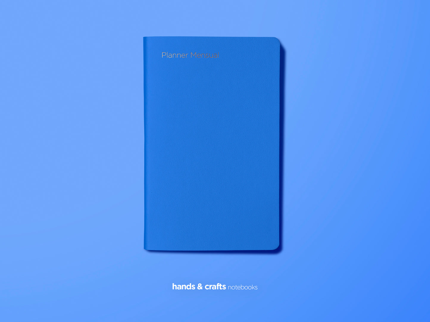 Planner SKINNY 2025 - Mensual